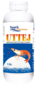 Uttej