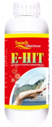 E-Hit